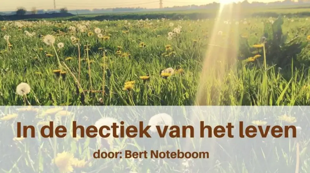 In-de-hectiek-van-het-leven-Leesplan van Bert-Noteboom.png