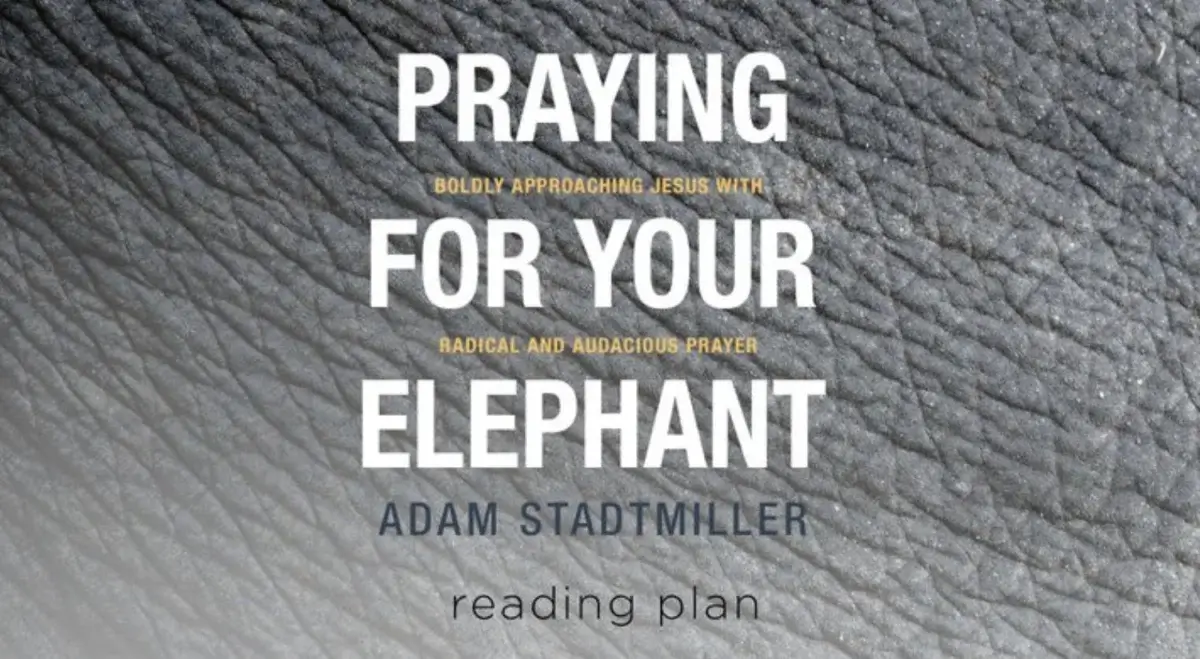 Bidden-voor-je-olifant-leesplan voor bidden
